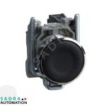 پوش باتن اشنایدر مدل XB4BA21