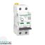 کلید مینیاتوری اشنایدر تیپ C دو پل 2 آمپر AC/DC مدل A9F74202
