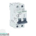 کلید مینیاتوری اشنایدر تیپ B دو پل 40 آمپر AC مدل 24081